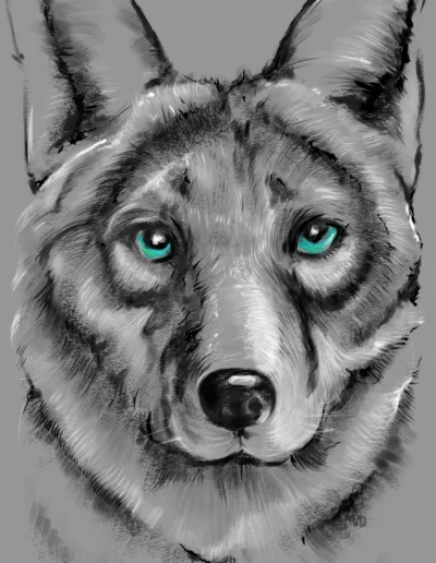 Coyote Digital Illustration