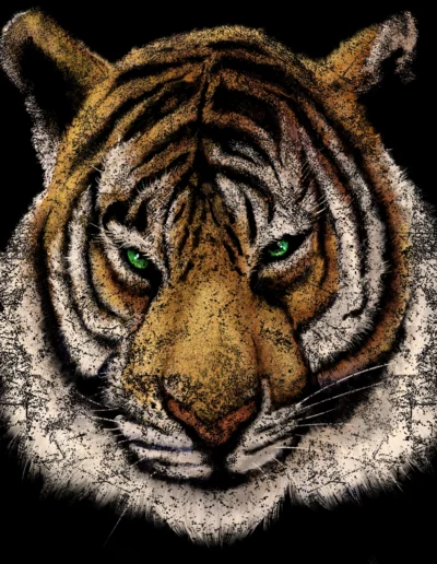 Tiger Digital illustration