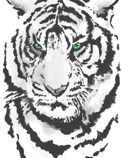 Tiger Felt Pen on Paper